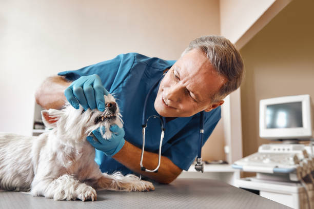 Best Emergency Tooth Extraction in Muniz, TX